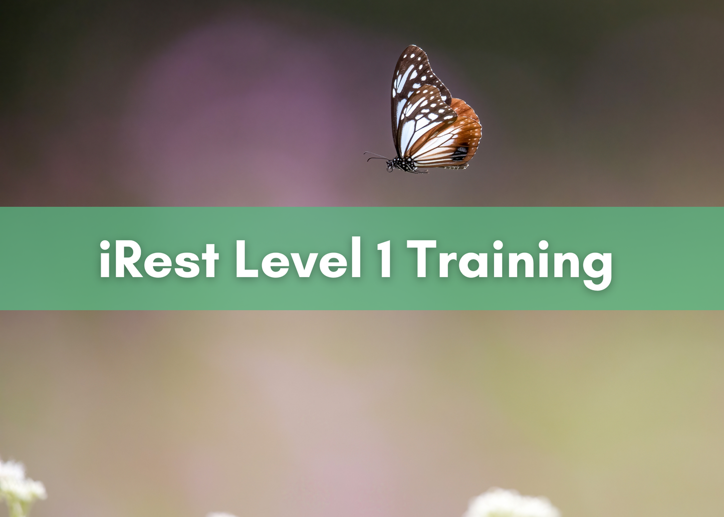 2026 June iRest Level 1 Training with Fuyuko Toyota IN-PERSON