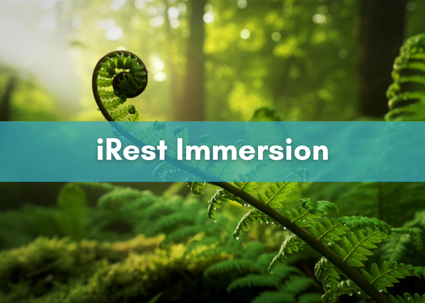 2027 March The Map of Meditation Immersion with Jennifer Cabanero ONLINE