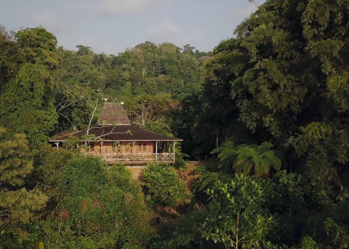 2026 July iRest Retreat with Richard Miller IN-PERSON
