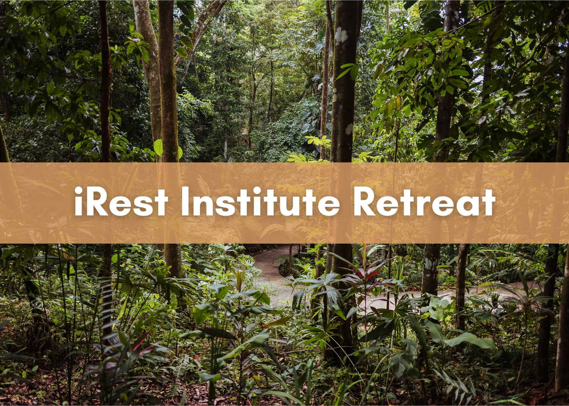 Forest in Imiloa in Costa Rica