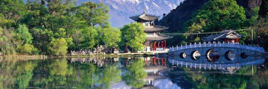 From Curiosity to Community: iRest Institute’s Expanding Presence in China