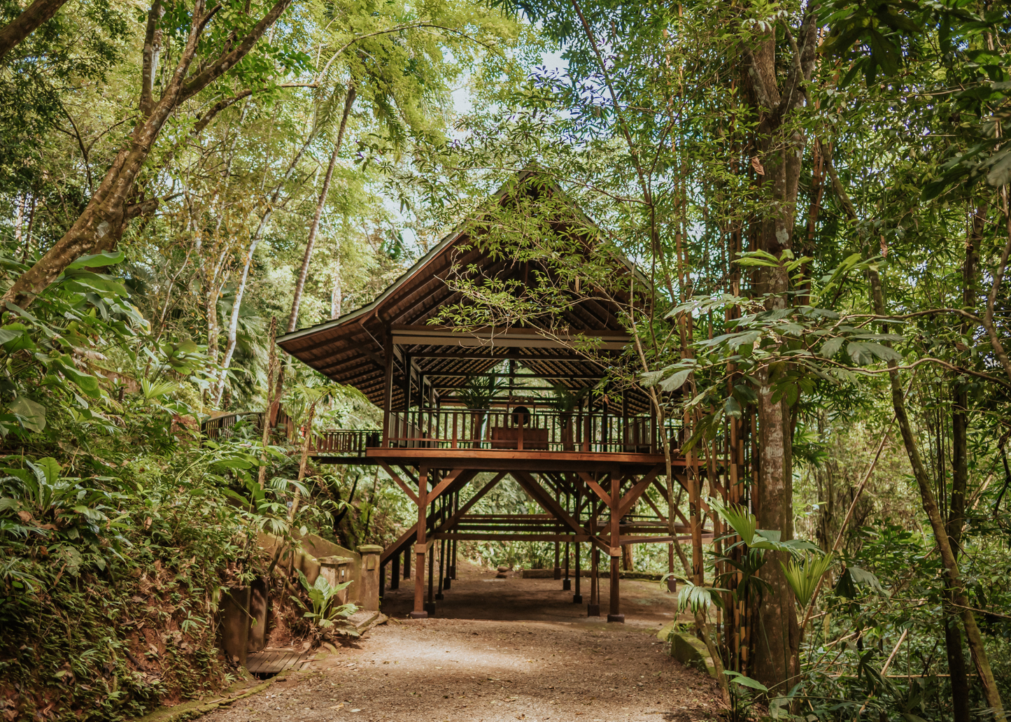 2026 July iRest Retreat with Richard Miller IN-PERSON
