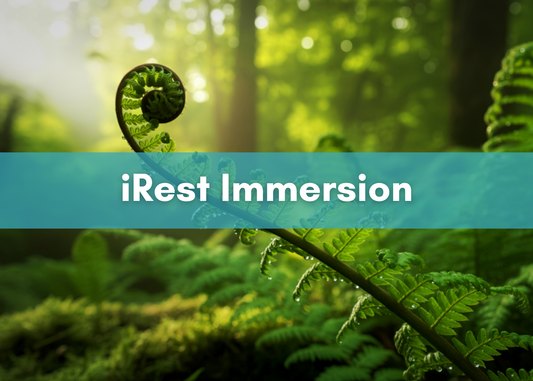 2027 March The Map of Meditation Immersion with Jennifer Cabanero ONLINE